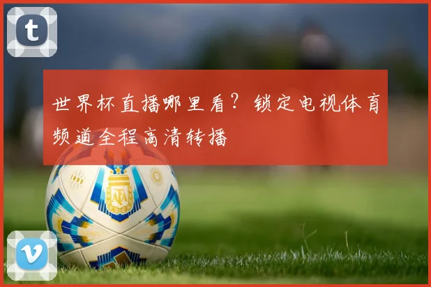 世界杯直播哪里看？锁定电视体育频道全程高清转播