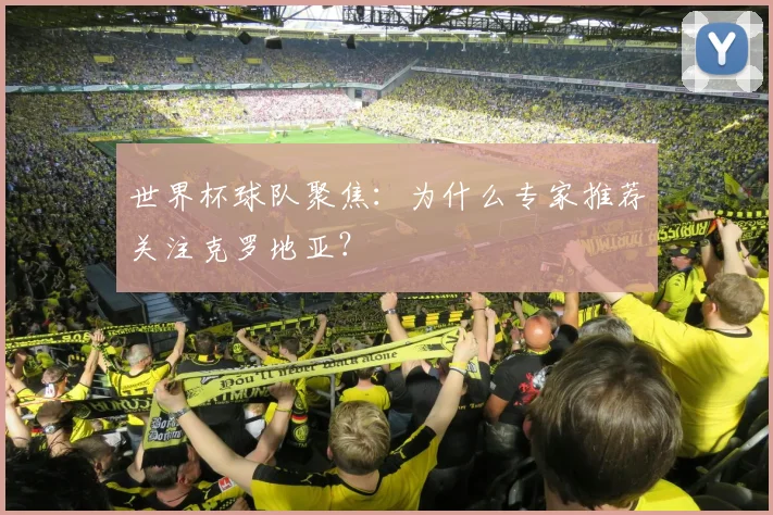 世界杯球队聚焦：为什么专家推荐关注克罗地亚？