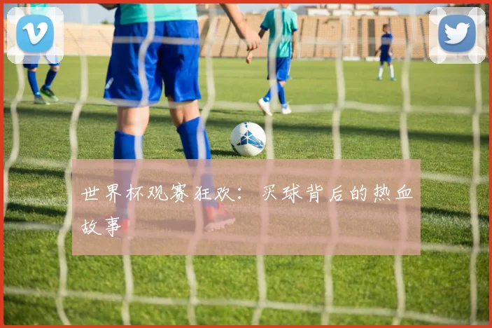 世界杯观赛狂欢：买球背后的热血故事