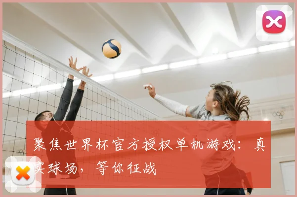 聚焦世界杯官方授权单机游戏:真实球场,等你征战